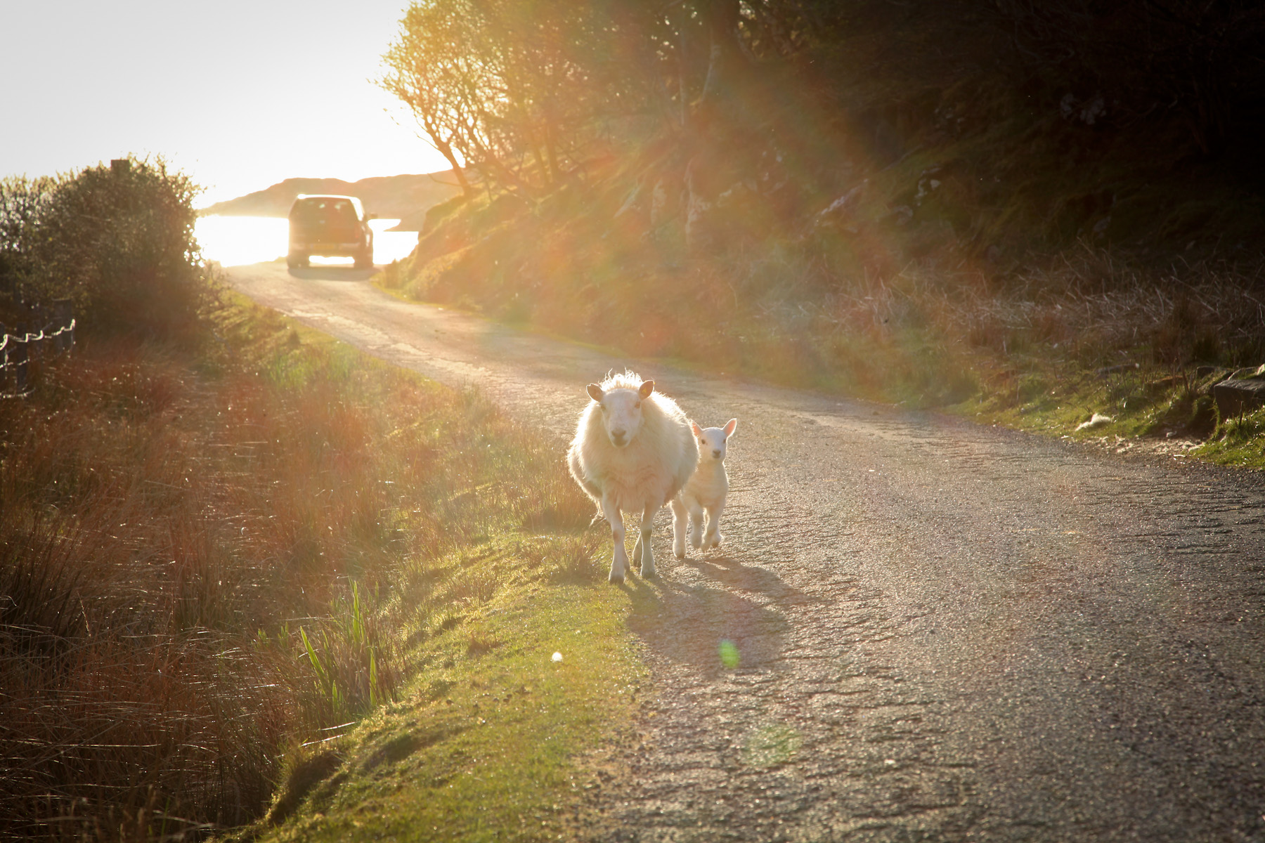 Sutherland – im hohen Norden von Schottland