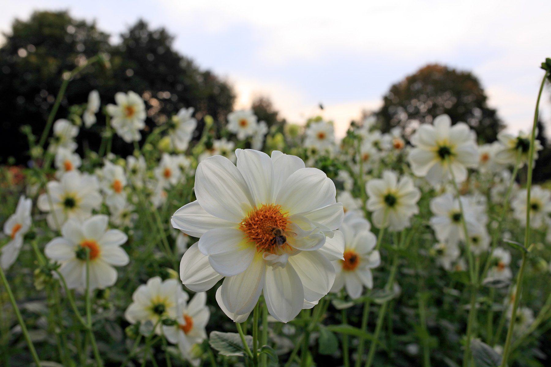 Ein sonniger Herbst-Sonntag in Berlin