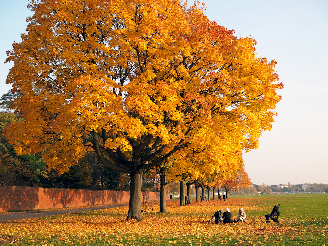 Goldener Herbst – Indian Summer