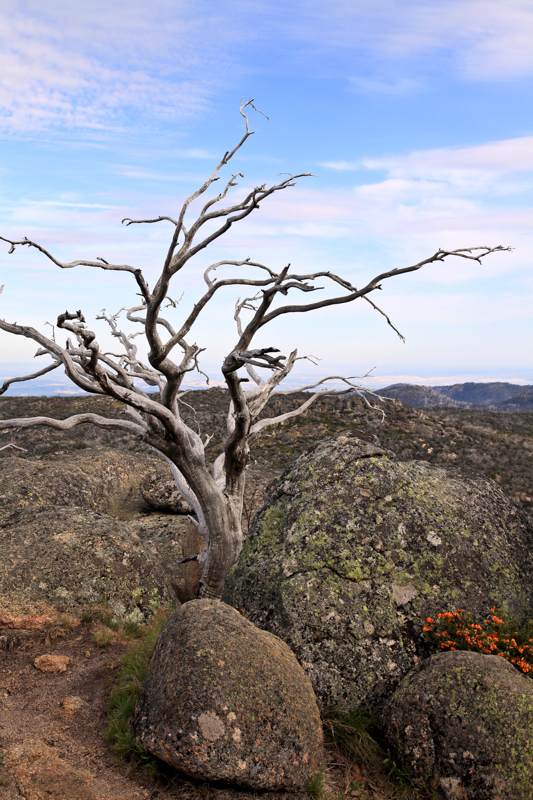 Australien – Granitformationen im Mount Buffalo