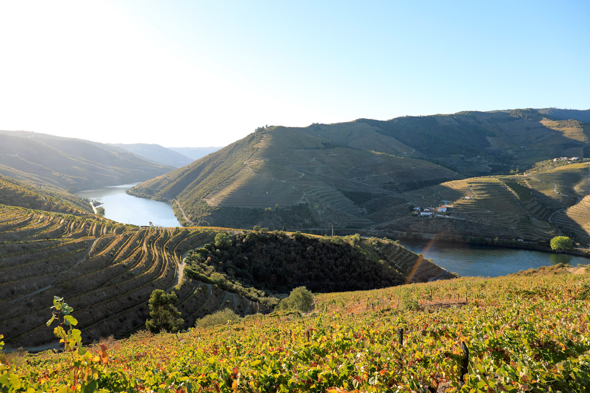 Mit dem Kayak auf dem Douro