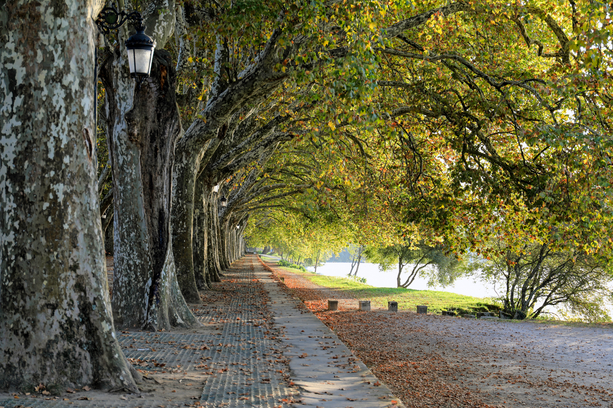 Nordportugal – Flüsse, Strände, Nationalparks und herzliche Menschen