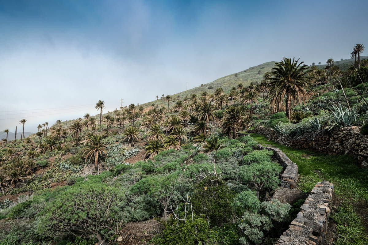 Einmal rund um La Gomera auf dem GR 132