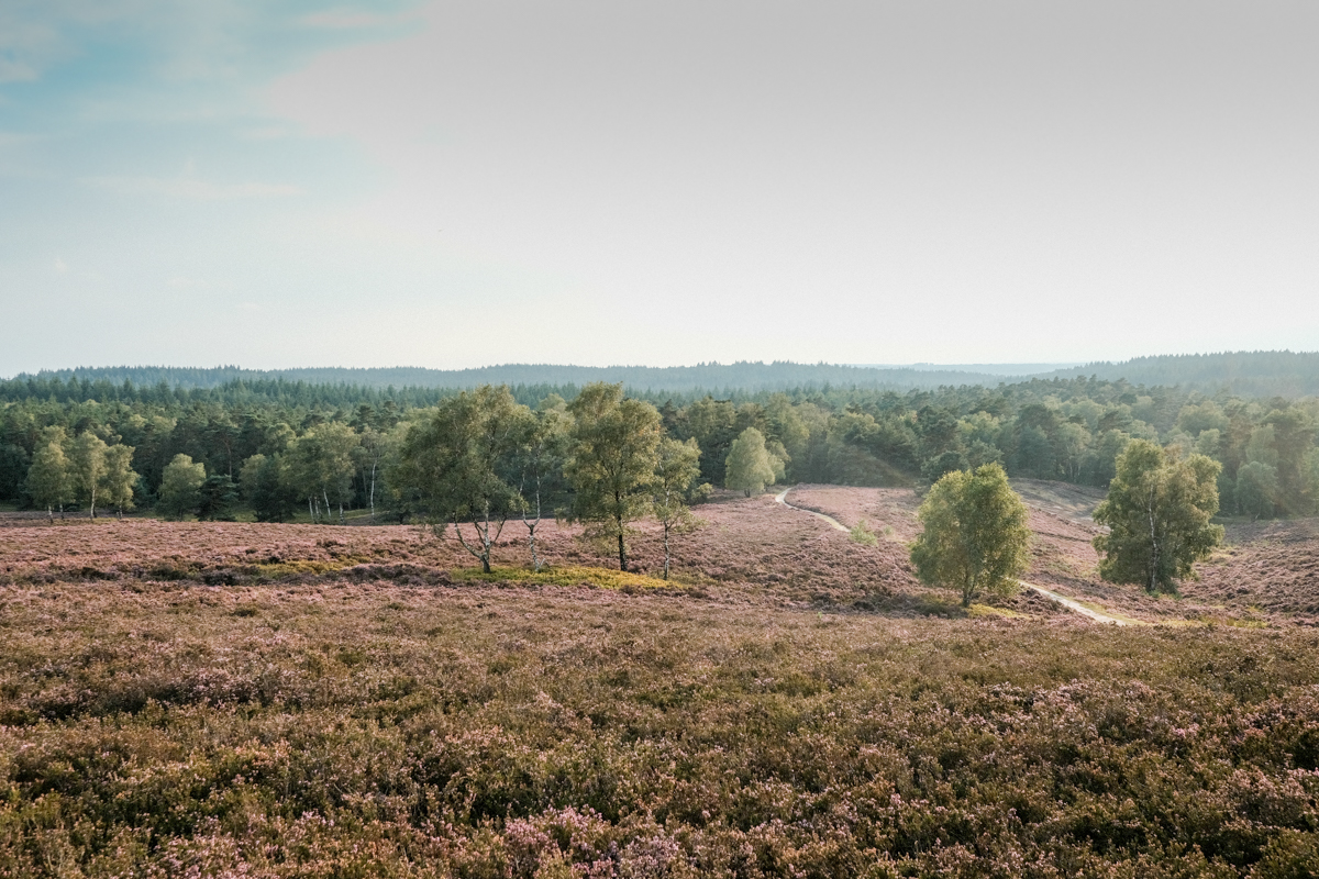 Vom Hamburg mit dem Fahrrad am Wochenende durch die Lüneburger Heide