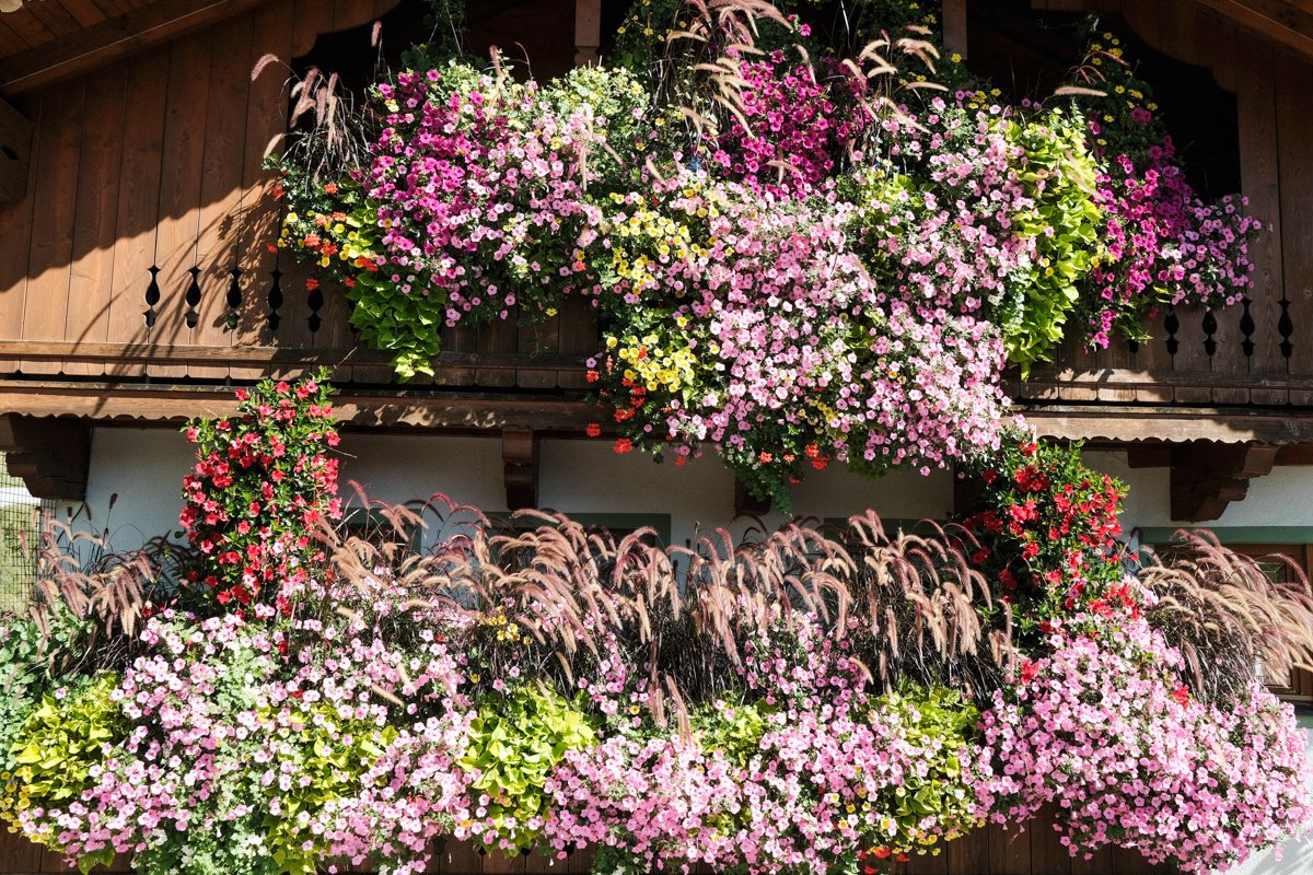 Eine Rundtour am Wilden Kaiser mit sehr wechselhaften Wetter