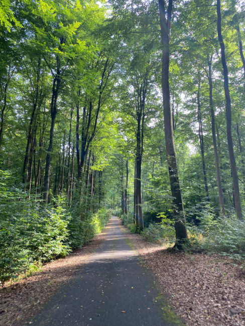 Fahrradstraße_bei_Rheinsberg-2