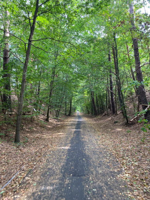 Fahrradstraße_bei_Rheinsberg-3