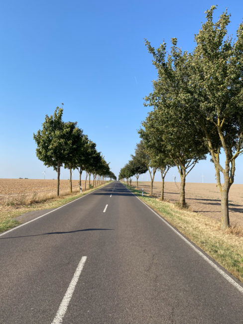 Radfahren_Uckermark-2