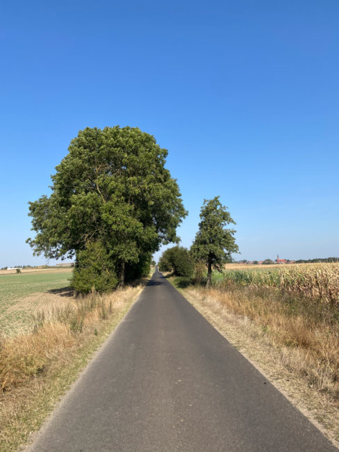Radfahren_Uckermark-3