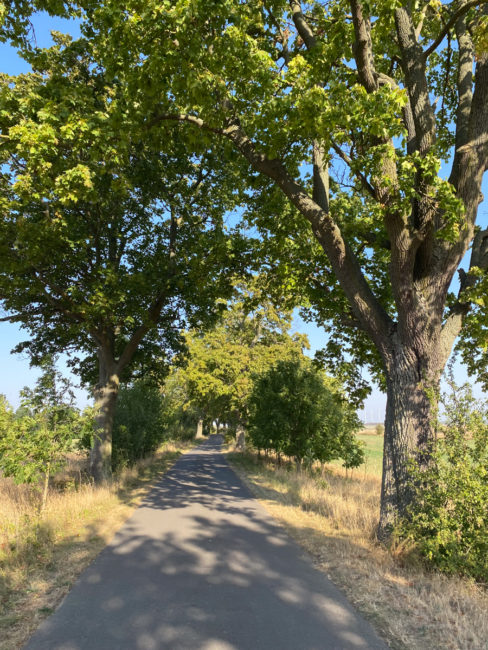 Radfahren_Uckermark