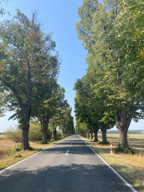 Radfahren_Uckermark-5