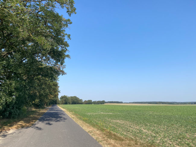Radweg_zur_Oder
