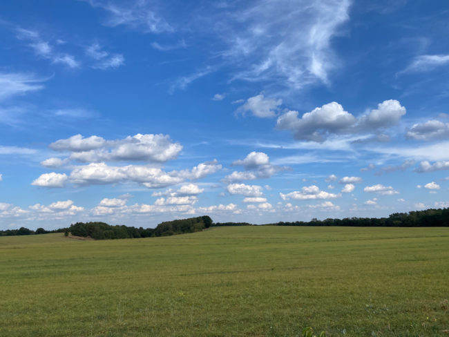 Wolken_Feld