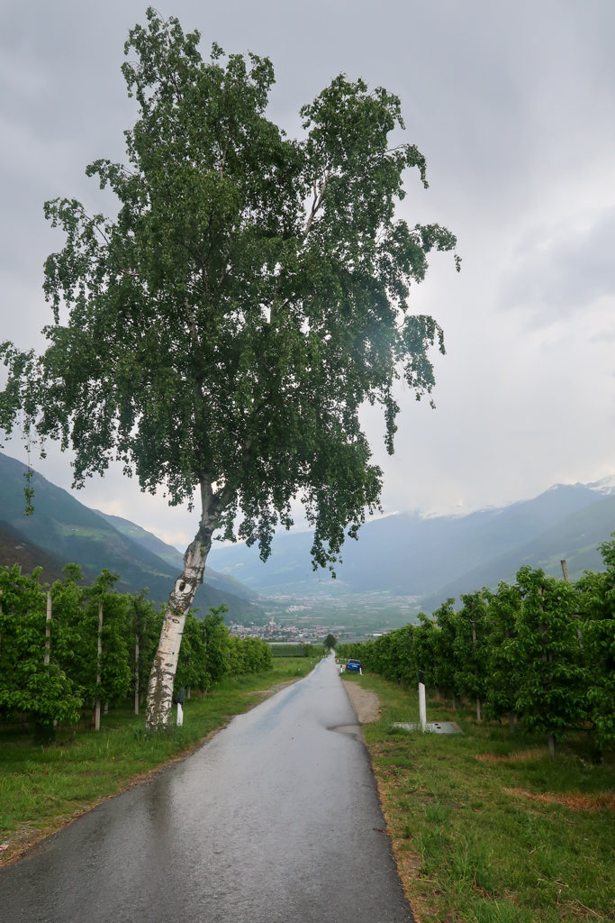 Rennrad_Reschenpass-7